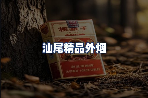 汕尾精品外烟